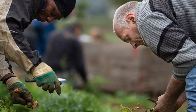 Réforme pour la justice 2019-2022 :  vers une reconnaissance législative du statut des fermes agro-écologiques d’accueil de personnes sous-main de justice