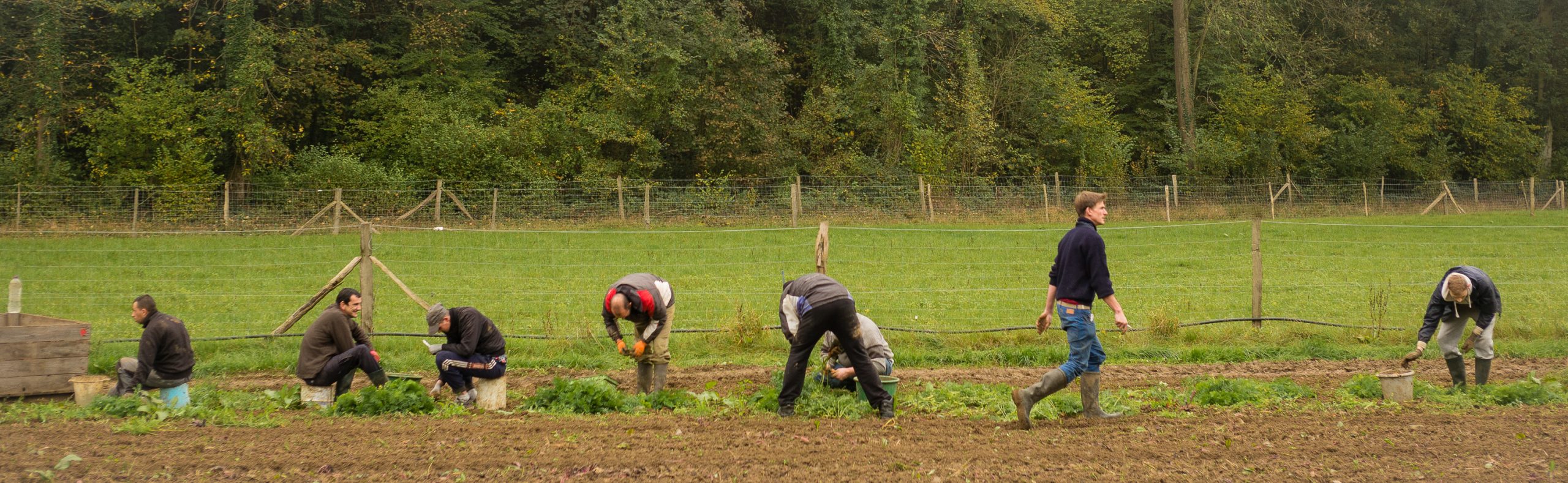 Après la prison, la vie à la ferme