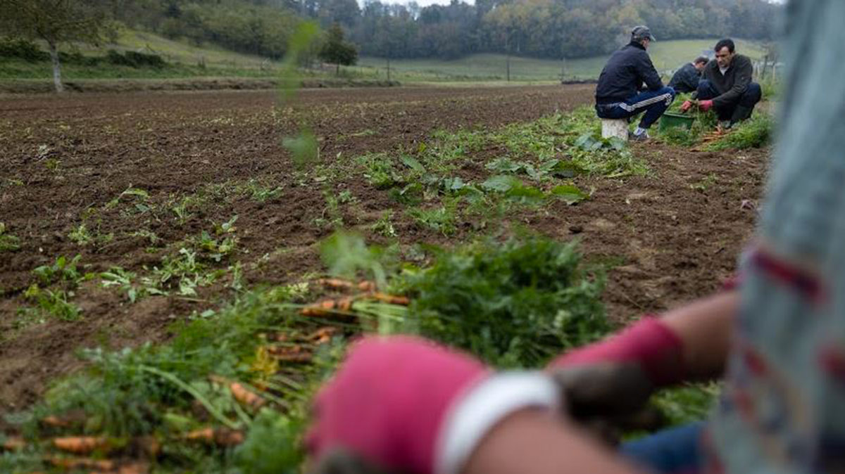 Lutte contre l’exclusion  des personnes détenues et sortants de prisons