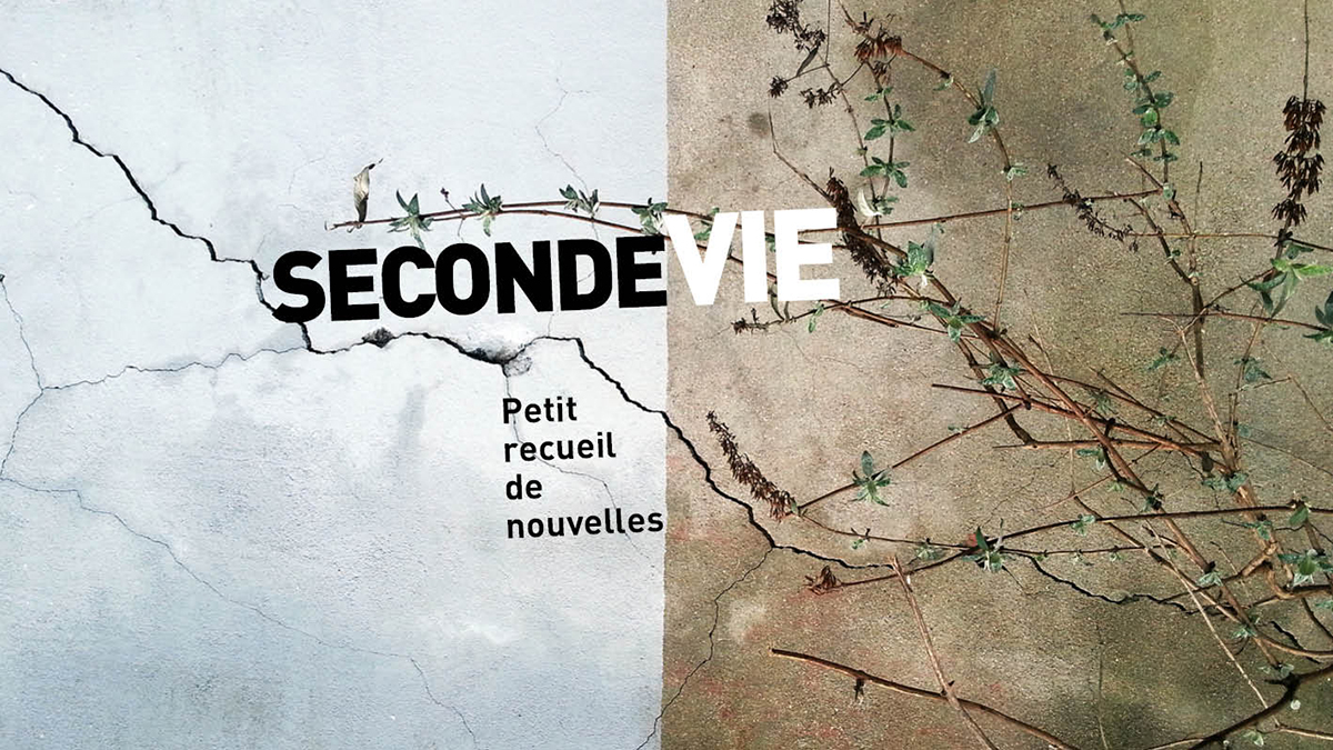 De bonnes nouvelles sous le sapin !
